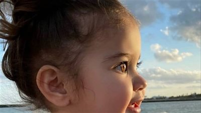 - الدكتور مصطفى جيه يا جنة