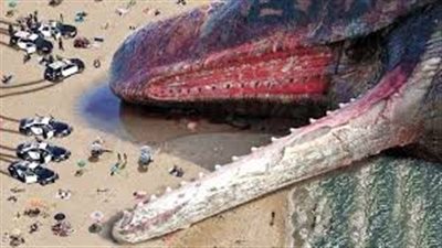 أغرب 10 اشياء رماها البحر على الشاطئ !!