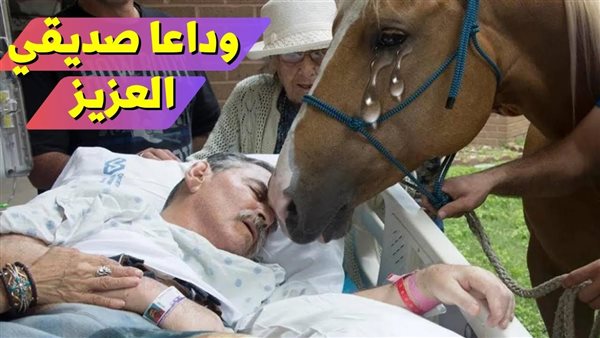 موقع أيام نيوز