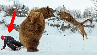 9 حيوانات أنقذت حياة البشر بشكل لا يصدق - الجزء 2