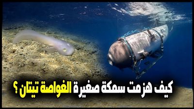 لماذا نجحت سمكة فيما فشلت به الغواصة تيتان ؟