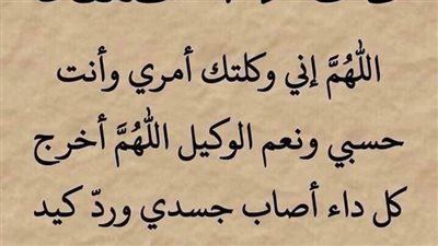 من يعلم 🐪  الجمل 🐪القراءة؟