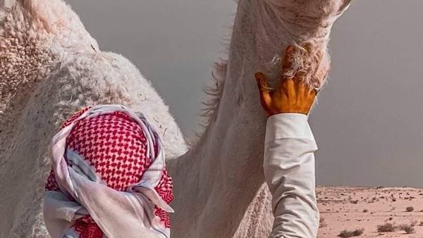 موقع أيام نيوز